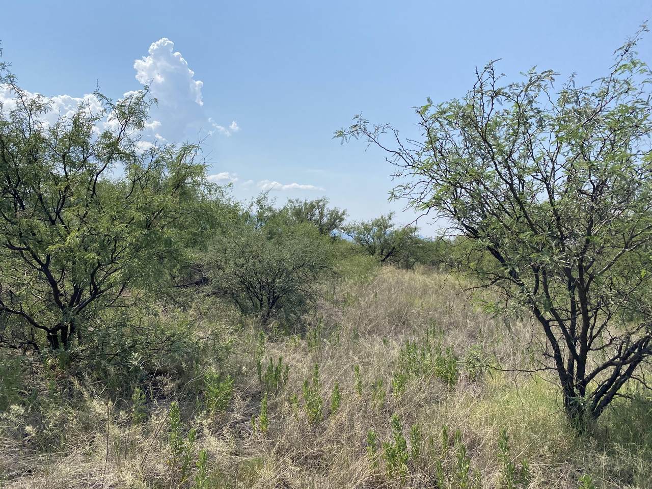 8200 Airstrip Road - Photo 1