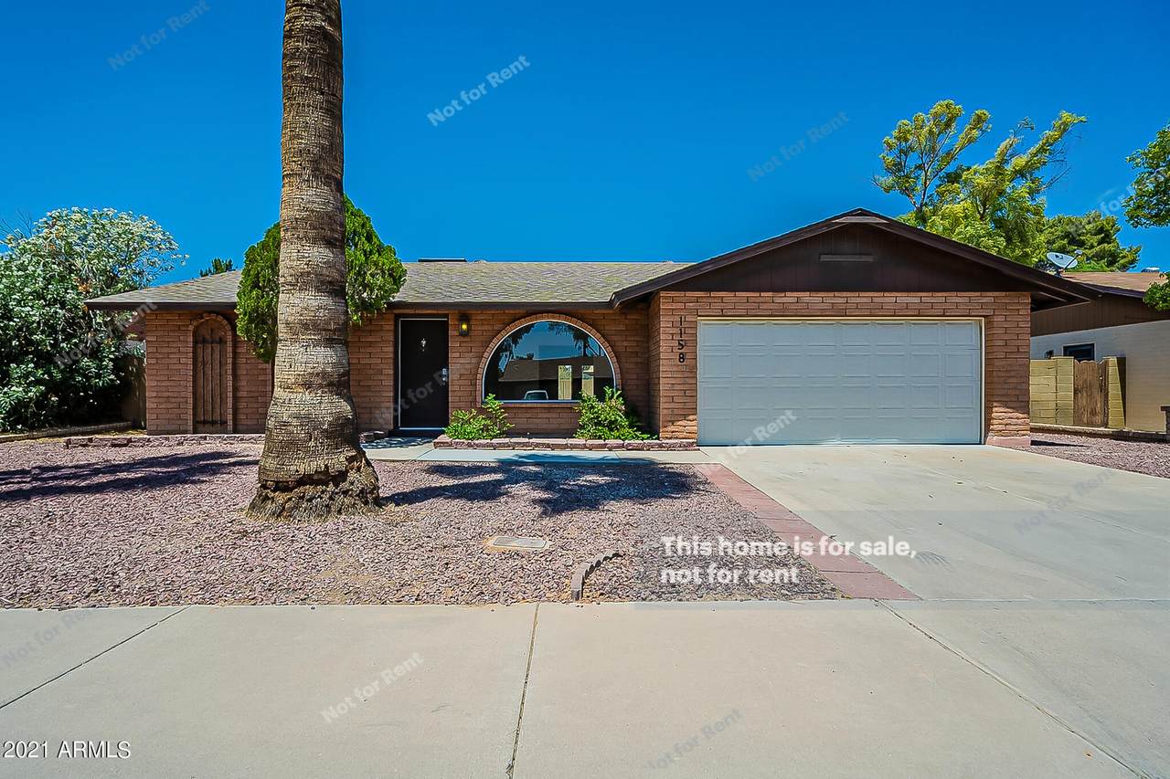 1158 Javelina Avenue - Photo 1