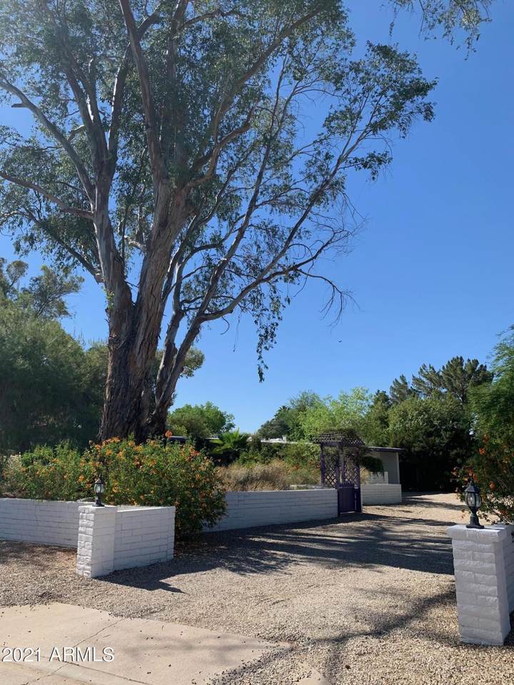 9907 Desert Cove Avenue - Photo 1