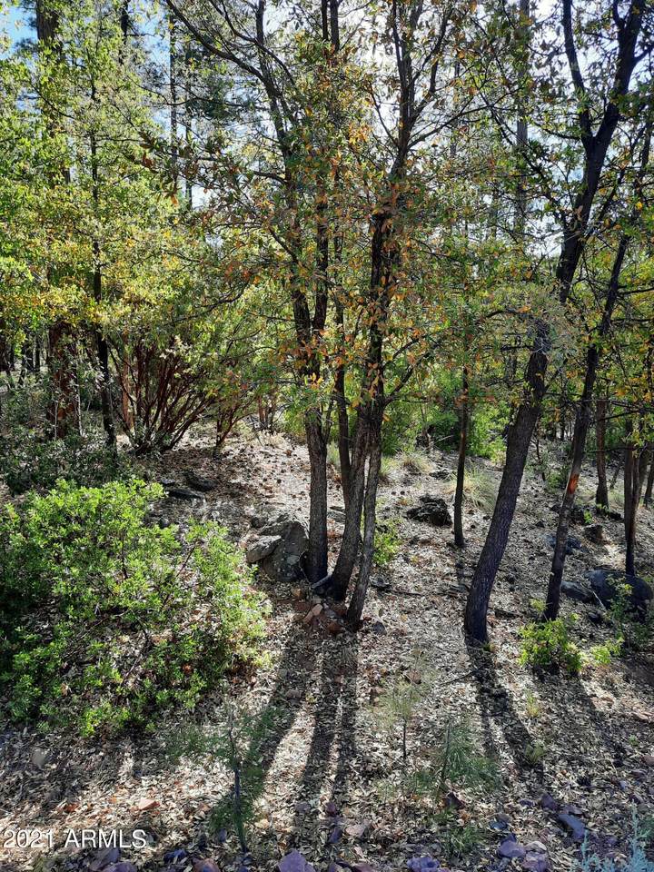 90 Mystical Circle - Photo 1