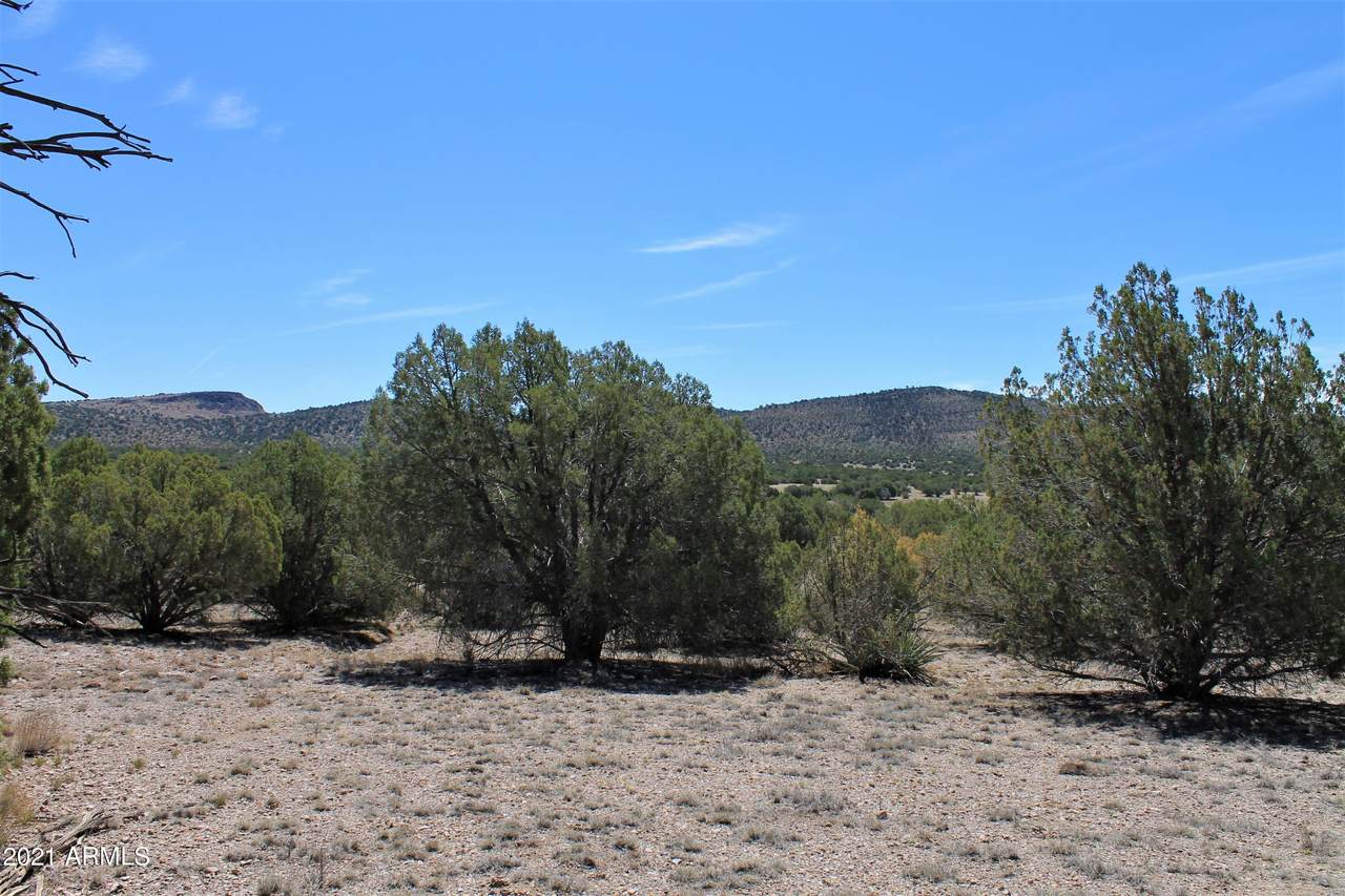 5071 Dillon Wash Road - Photo 1