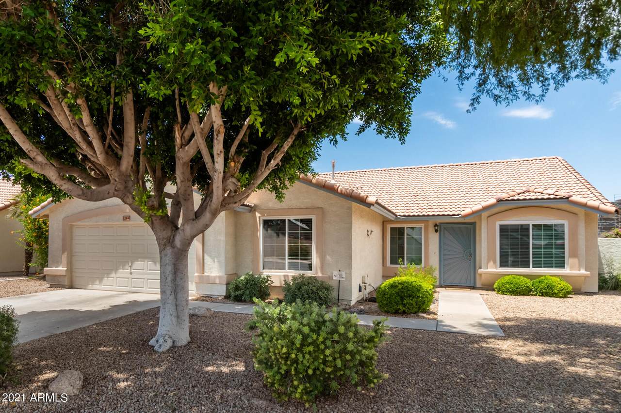 1264 Palm Street - Photo 1