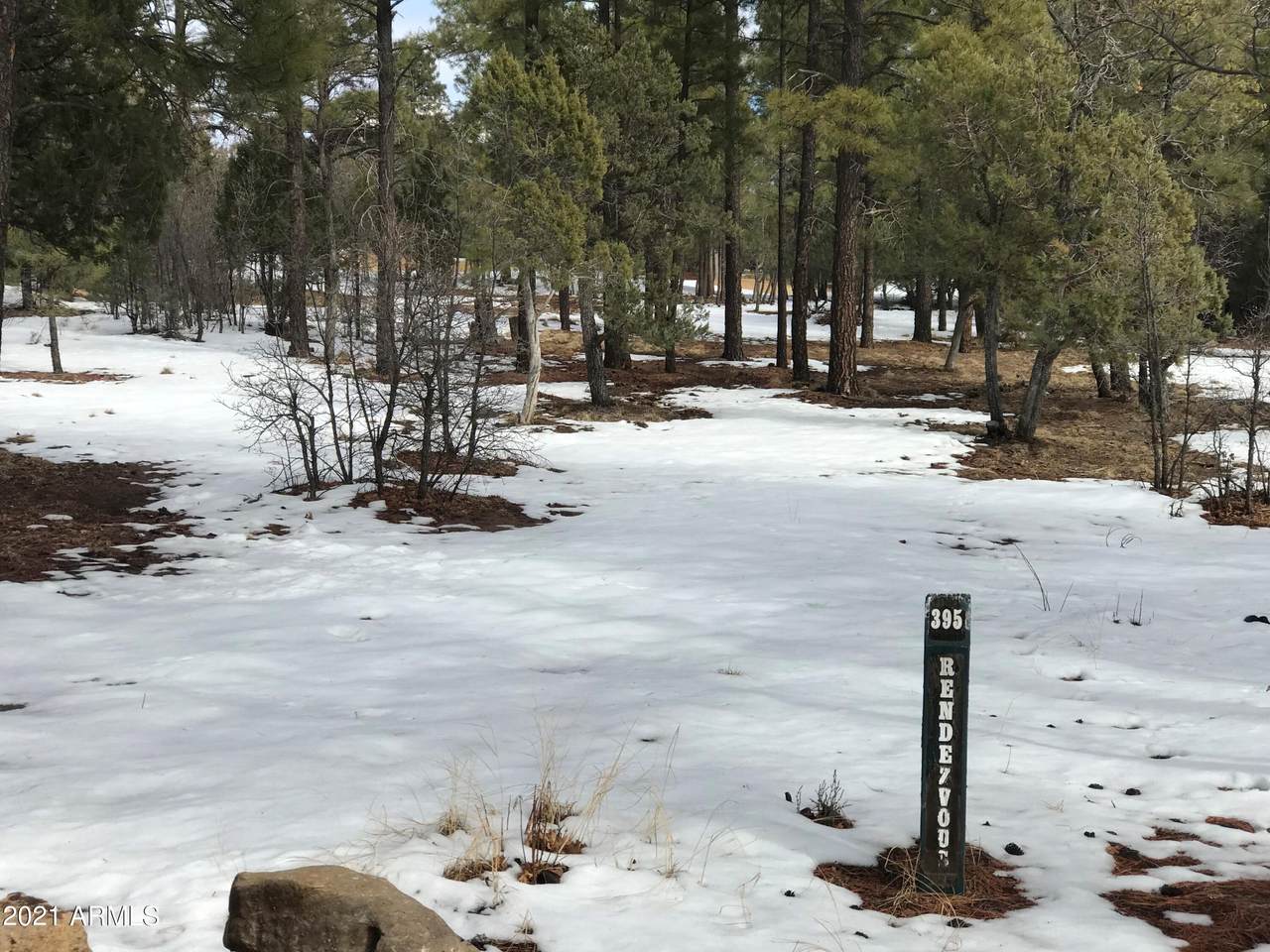 1291 Falling Leaf Road - Photo 1