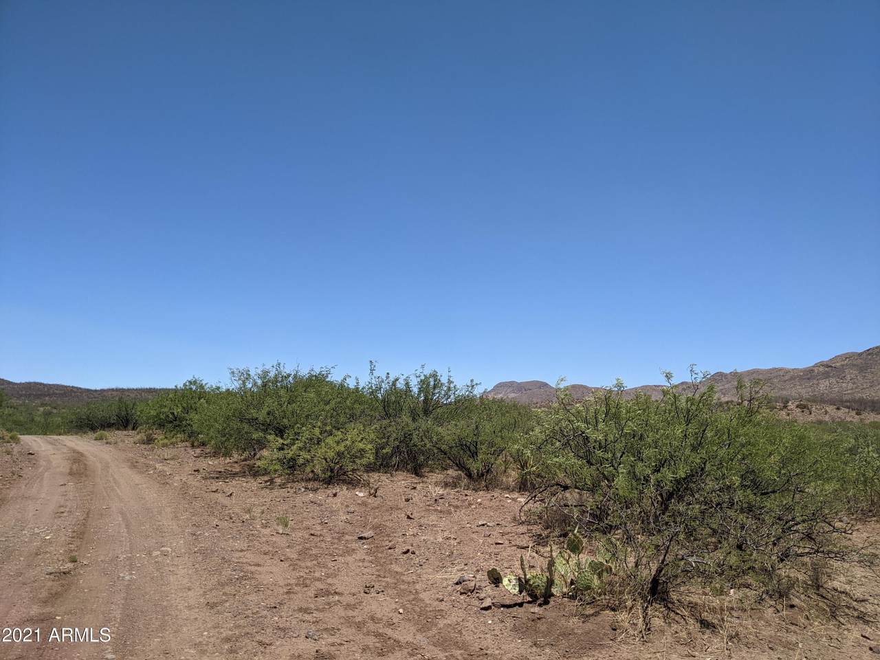 0 Hummingbird Road - Photo 1