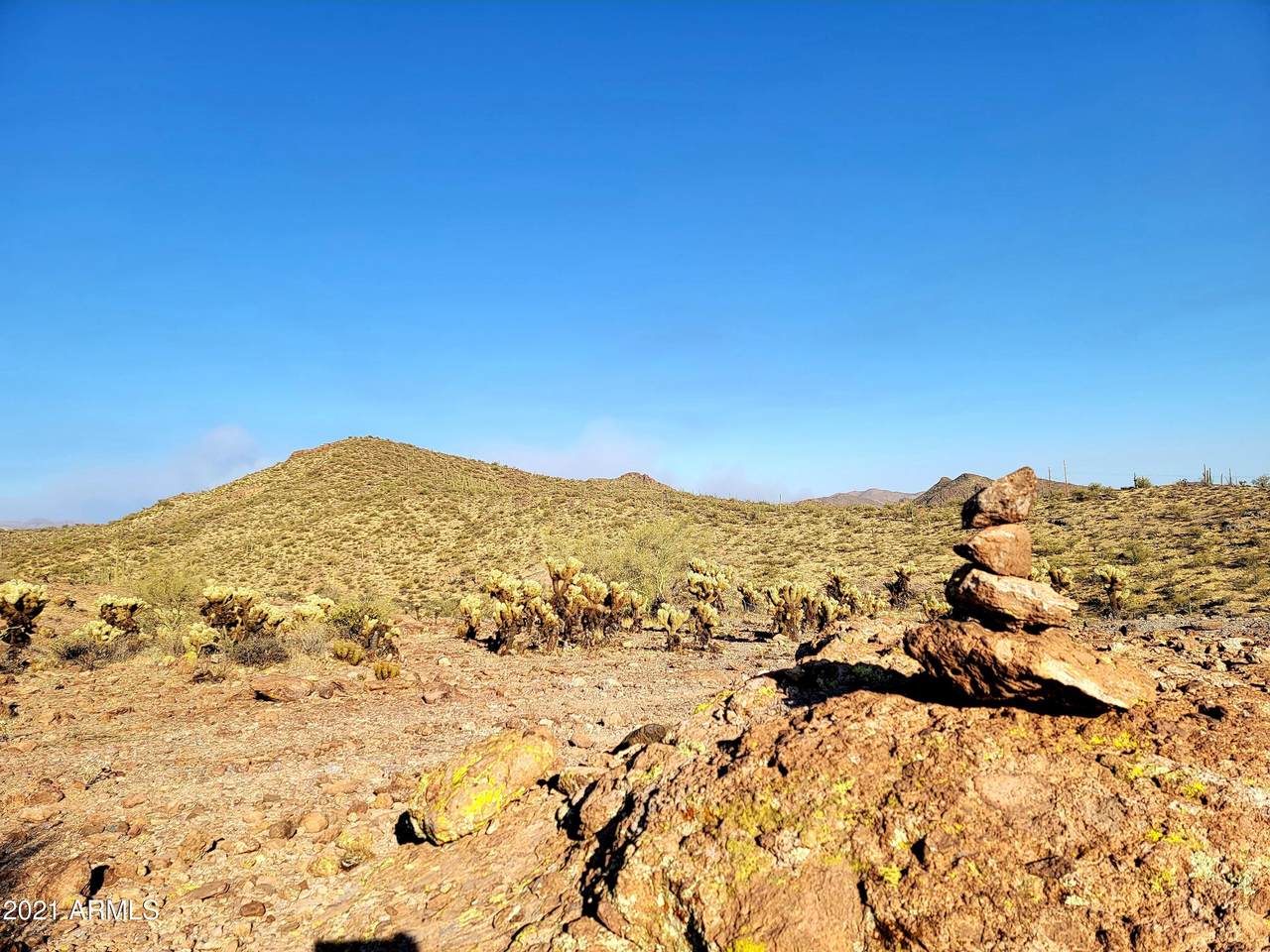 0 Elephant Butte Road - Photo 1