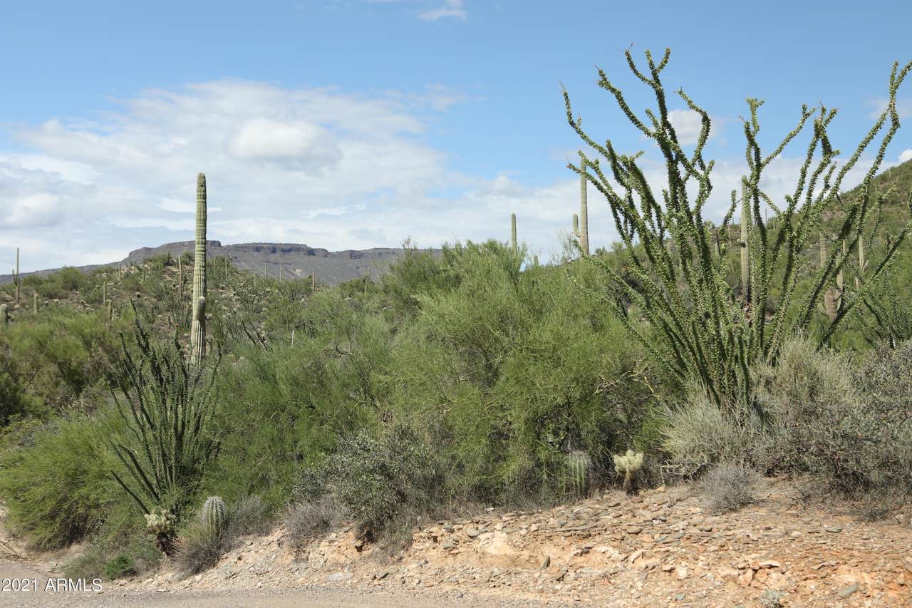 44901 Cottonwood Canyon Road - Photo 1