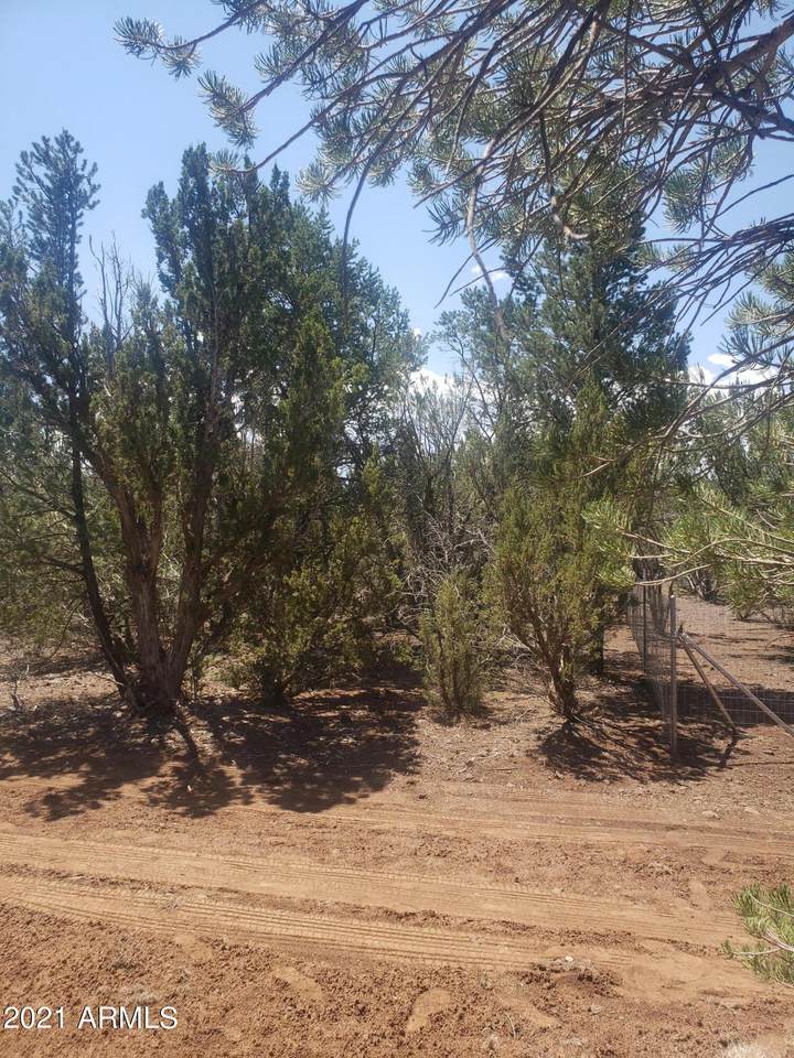 TBD Co Rd 3187 - Photo 1