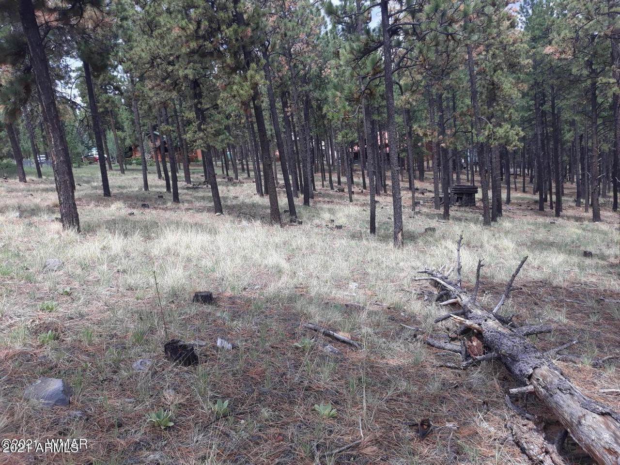 504 Apache County Road - Photo 1