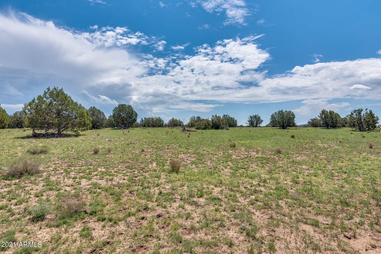 25 Indian Springs Road - Photo 1