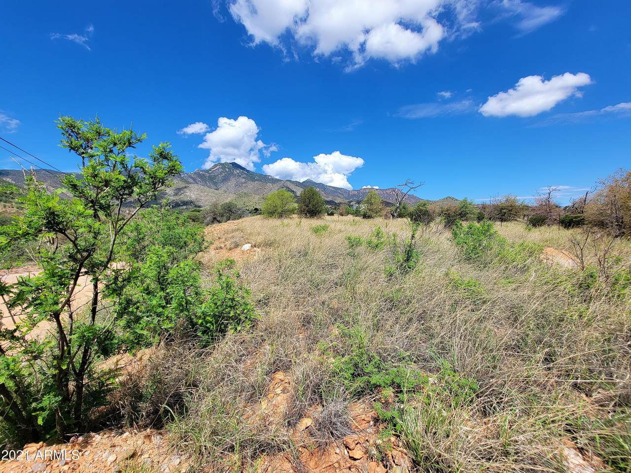 --- Mountain View Road - Photo 1