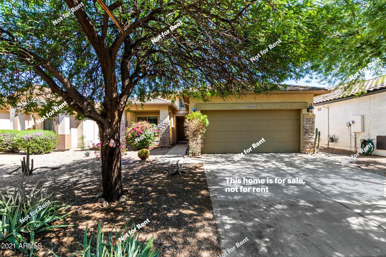 45126 Cypress Lane - Photo 1