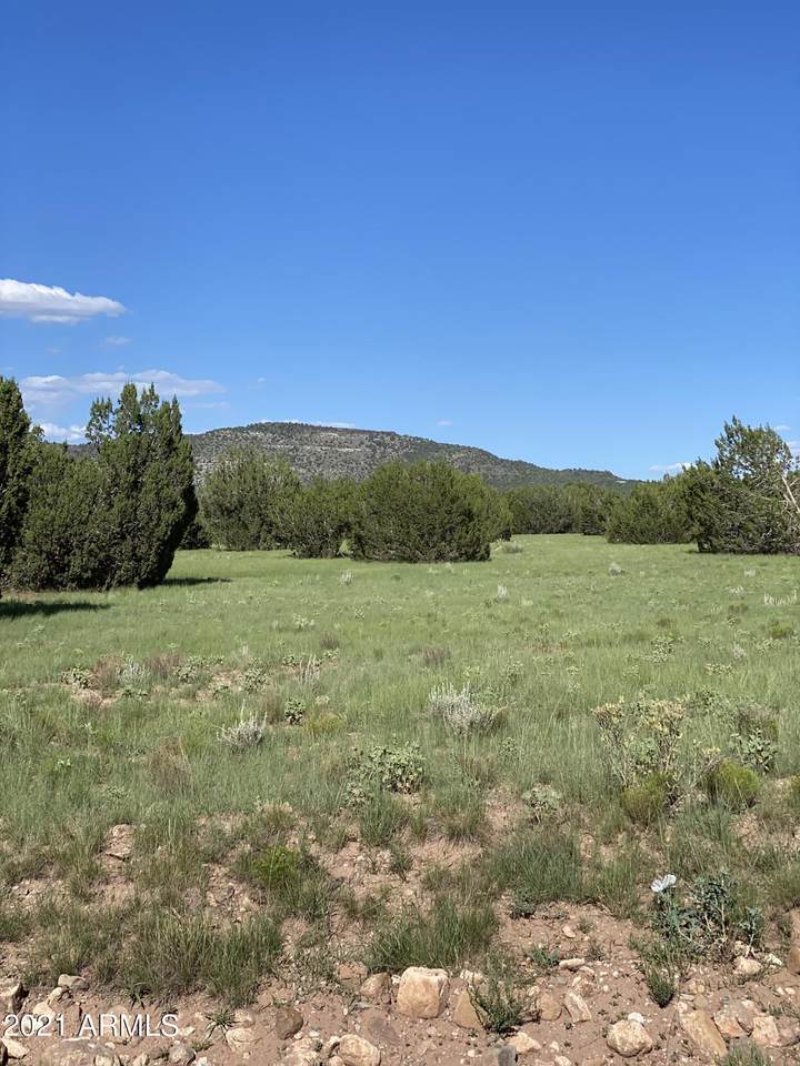 00 Anvil Rock Road - Photo 1