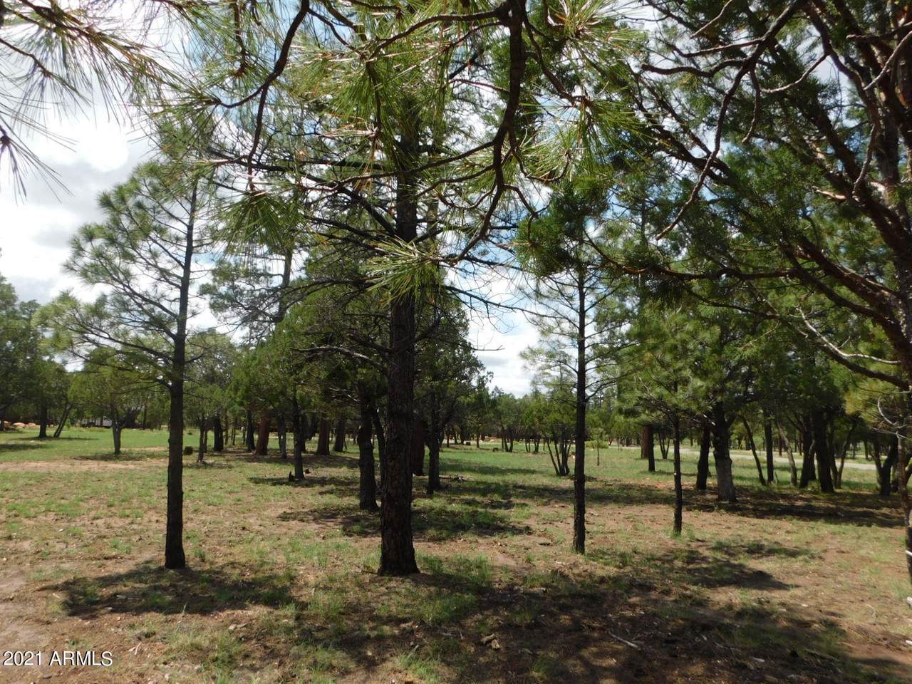 2707 Deer Path - Photo 1