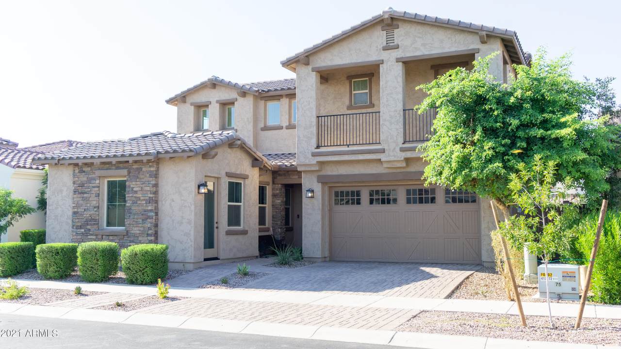 10136 Cintron Drive - Photo 1