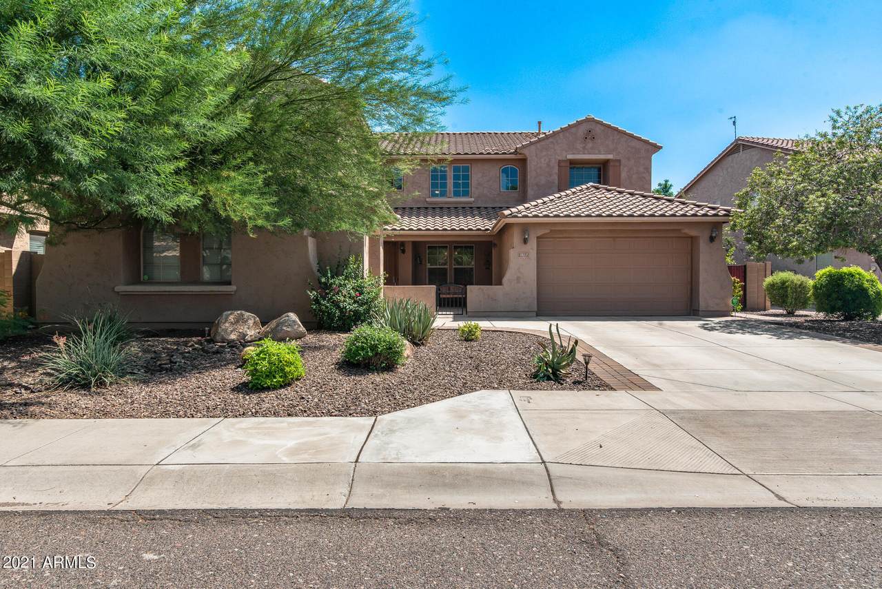 5617 Molly Lane - Photo 1