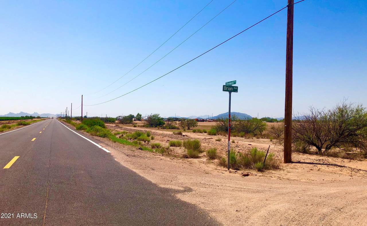 8.23 Ac Trekell Road - Photo 1