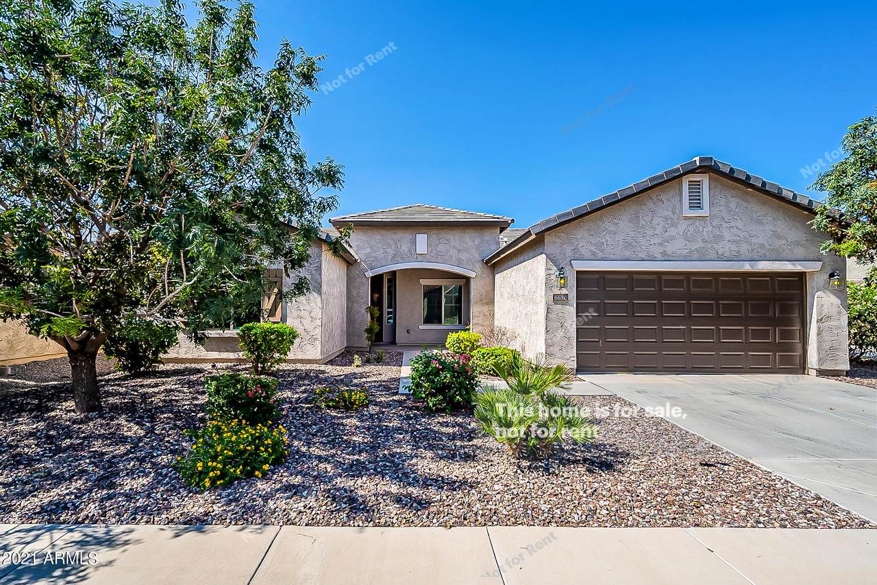 6630 Desert Blossom Way - Photo 1