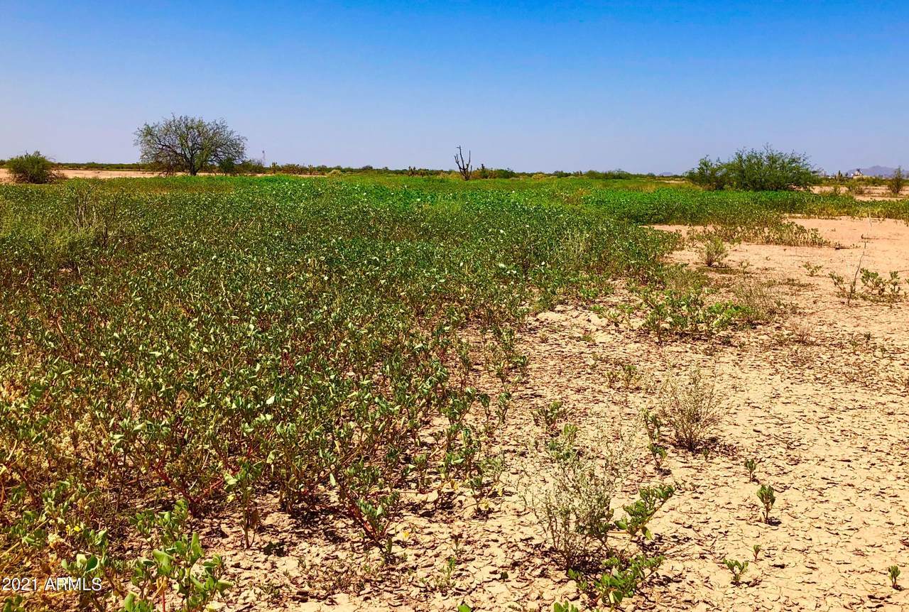 34+ Ac Cornman Roads - Photo 1