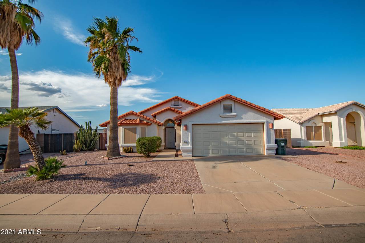 1768 Catalina Street - Photo 1