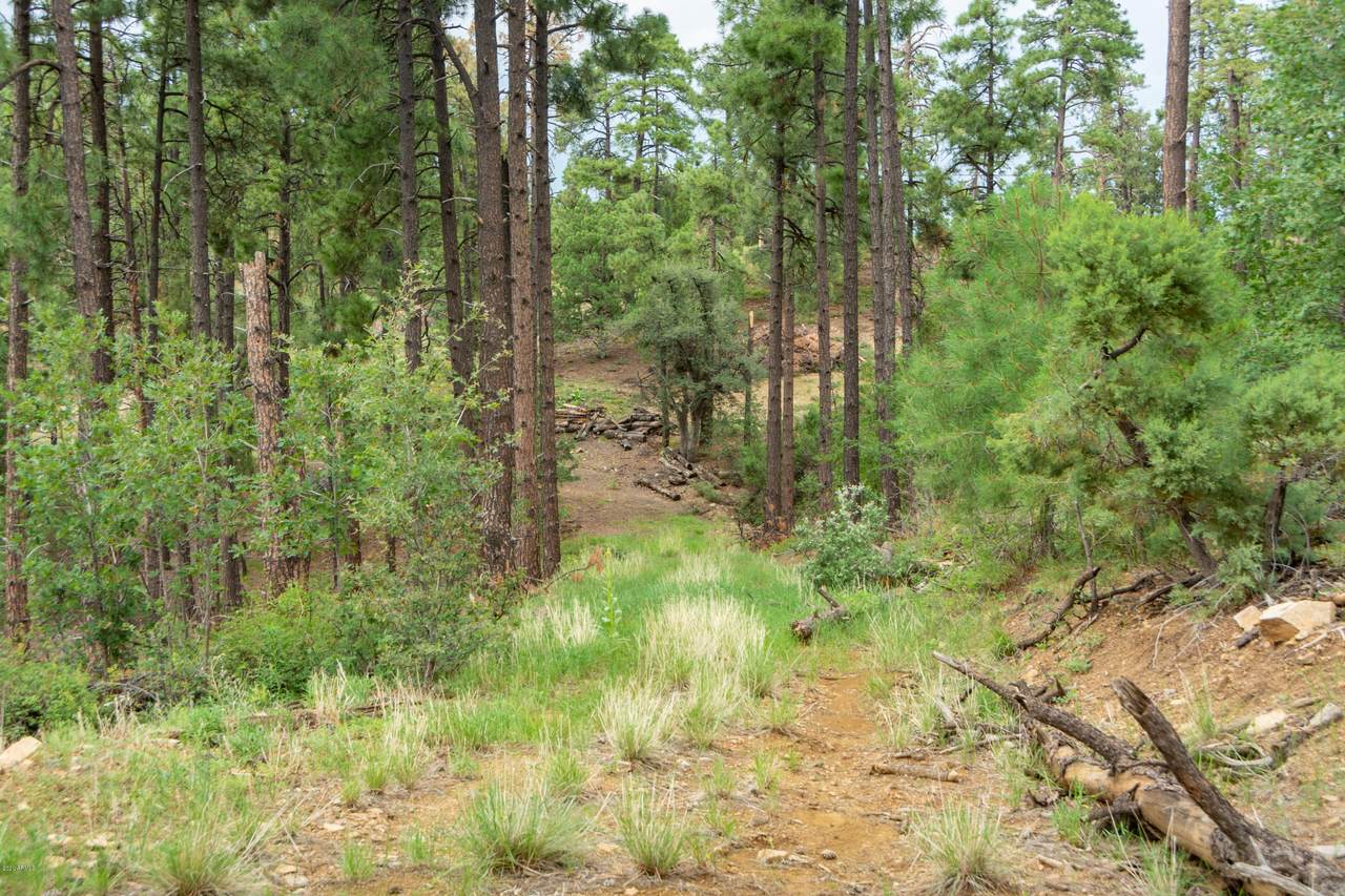 4702 Vulture Bend (Approx) Drive - Photo 1
