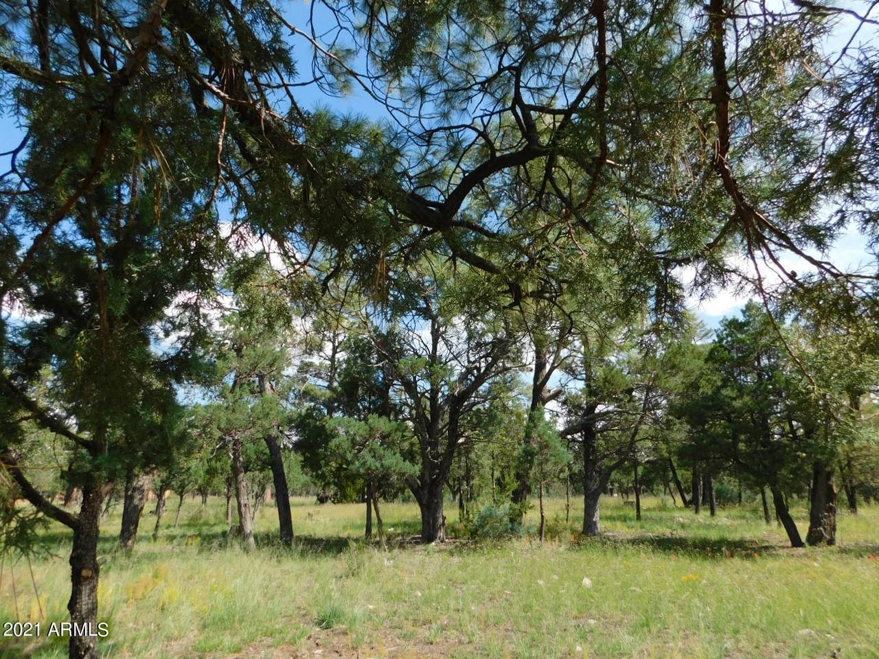 2149 Pine Crest Drive - Photo 1