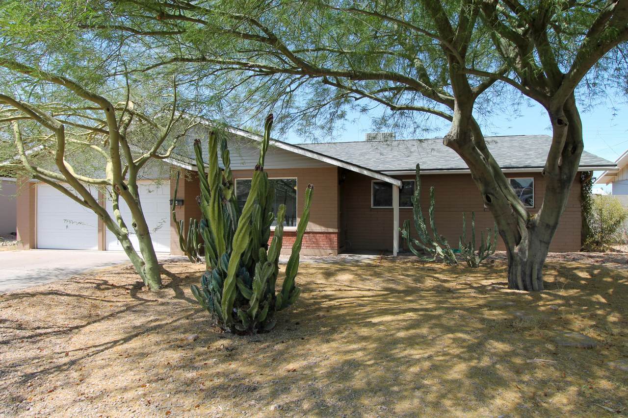 24 Cairo Drive - Photo 1