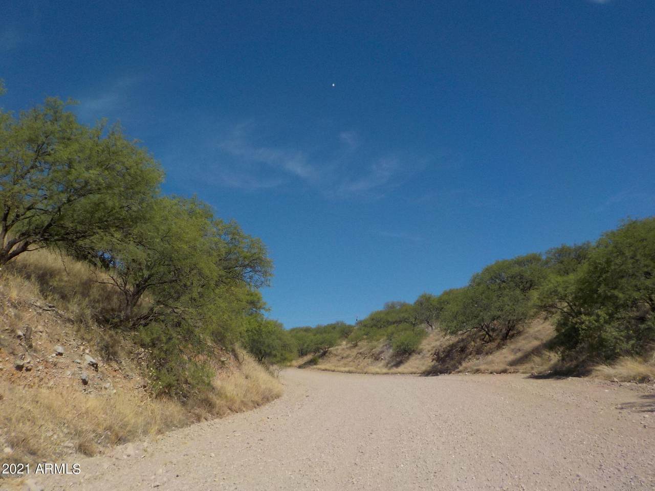 978 Avenida Revolucion - Photo 1