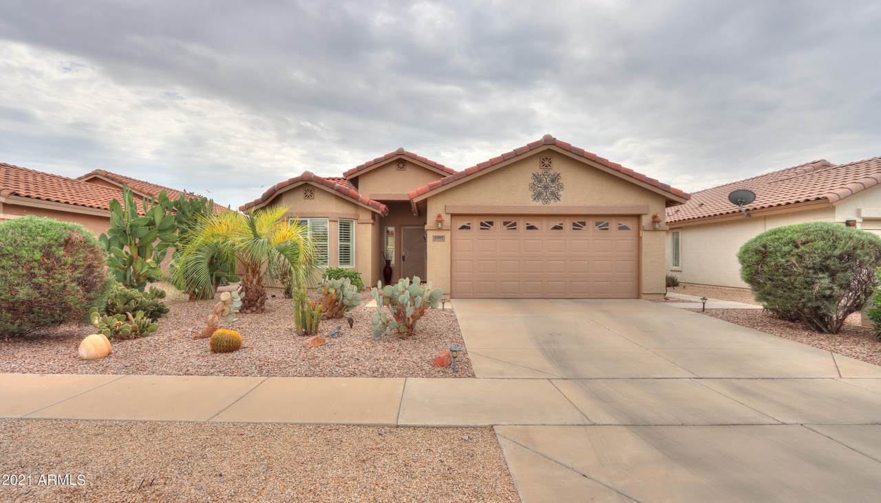 2397 Antigua Drive - Photo 1