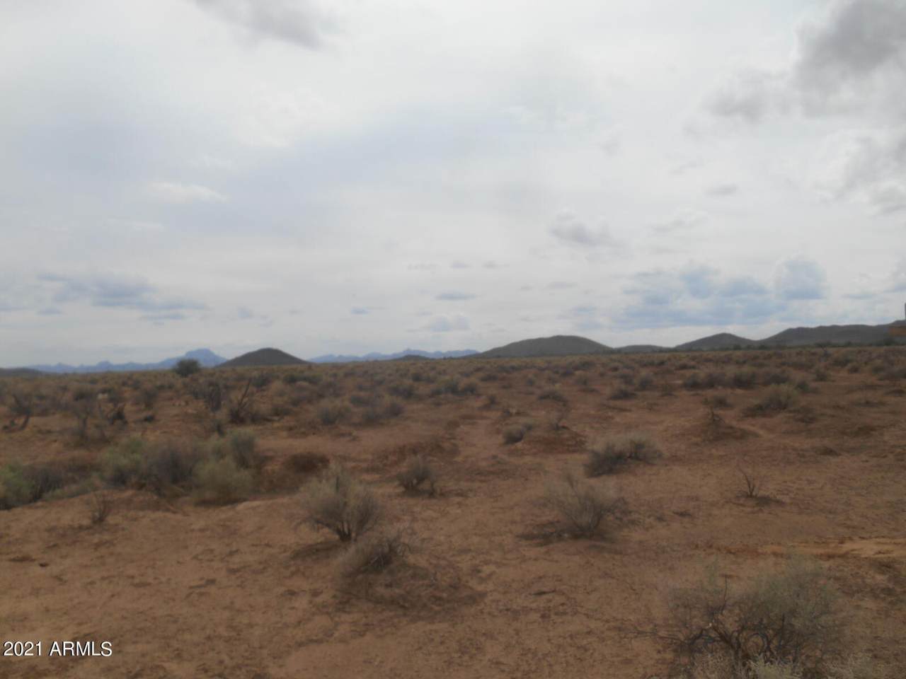 391XX Horseshoe Trail - Photo 1