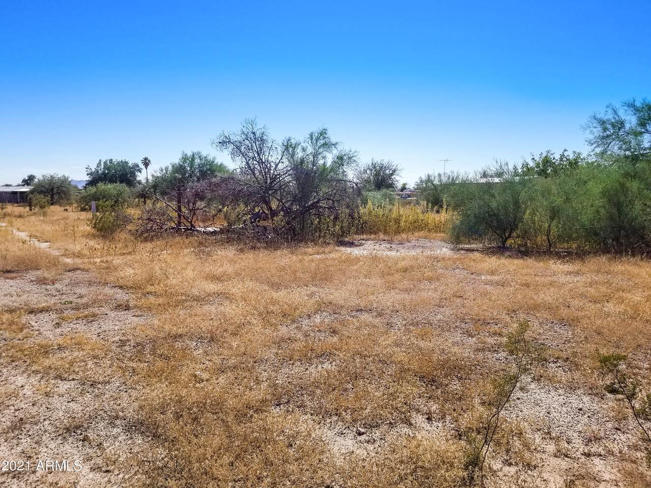 10285 Altadena Drive - Photo 1