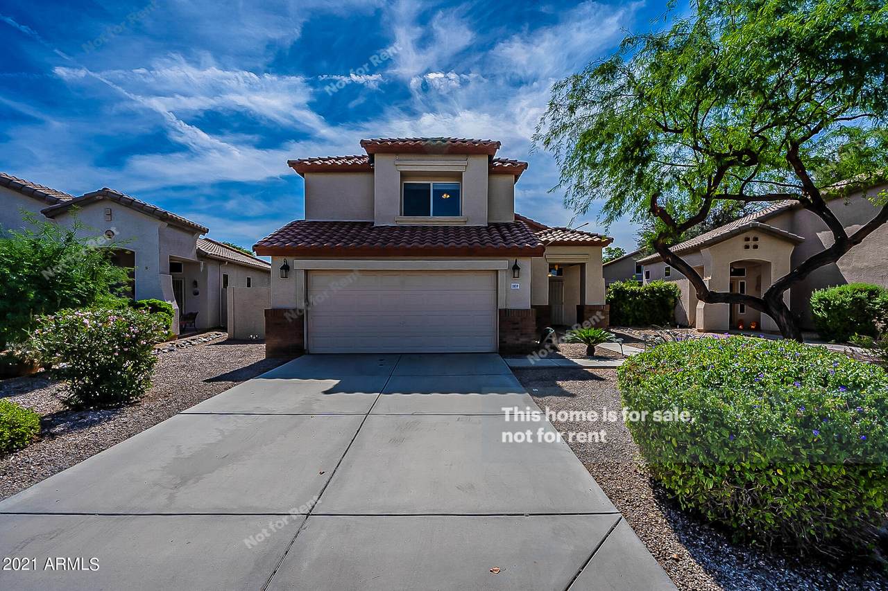 2659 Calle Del Norte Drive - Photo 1