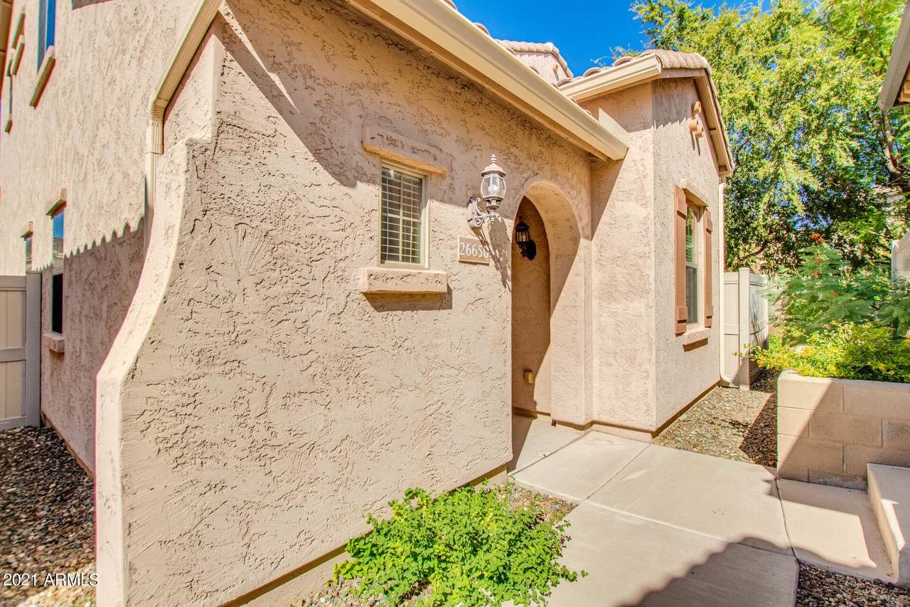 26650 Babbling Brook Drive - Photo 1