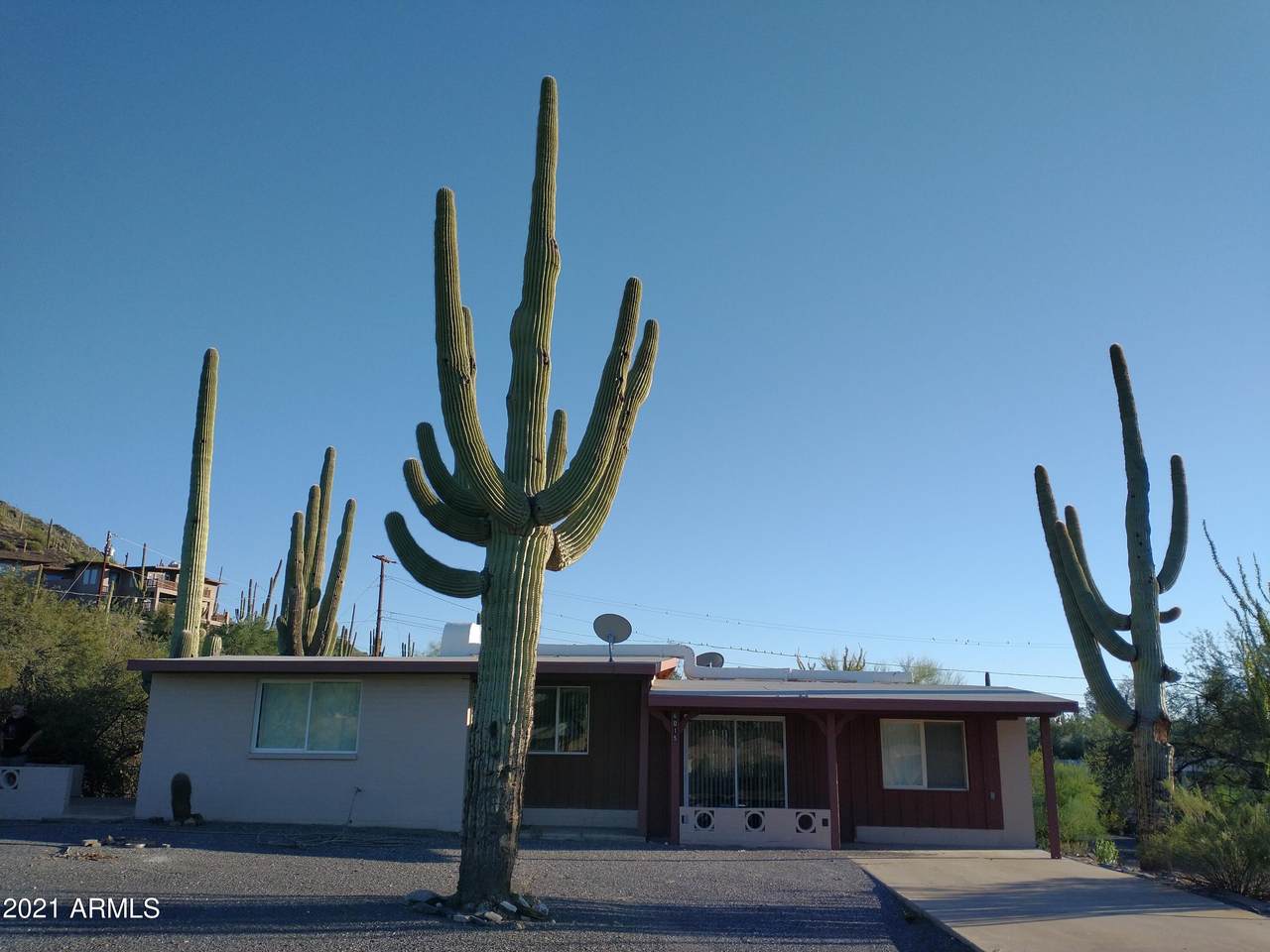 6015 Cholla Road - Photo 1