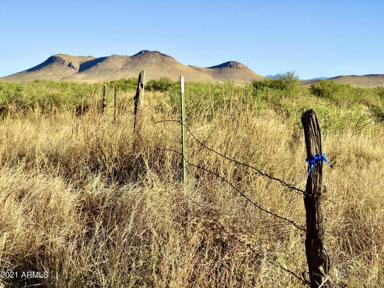 TBD Doe Ranch Rd 40.1 Aces - Photo 1