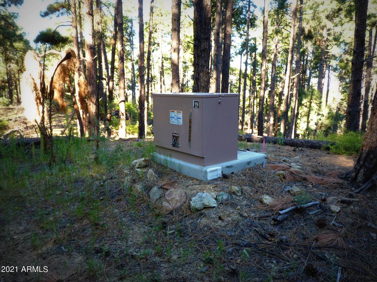 010M Mt. Francis Road - Photo 1