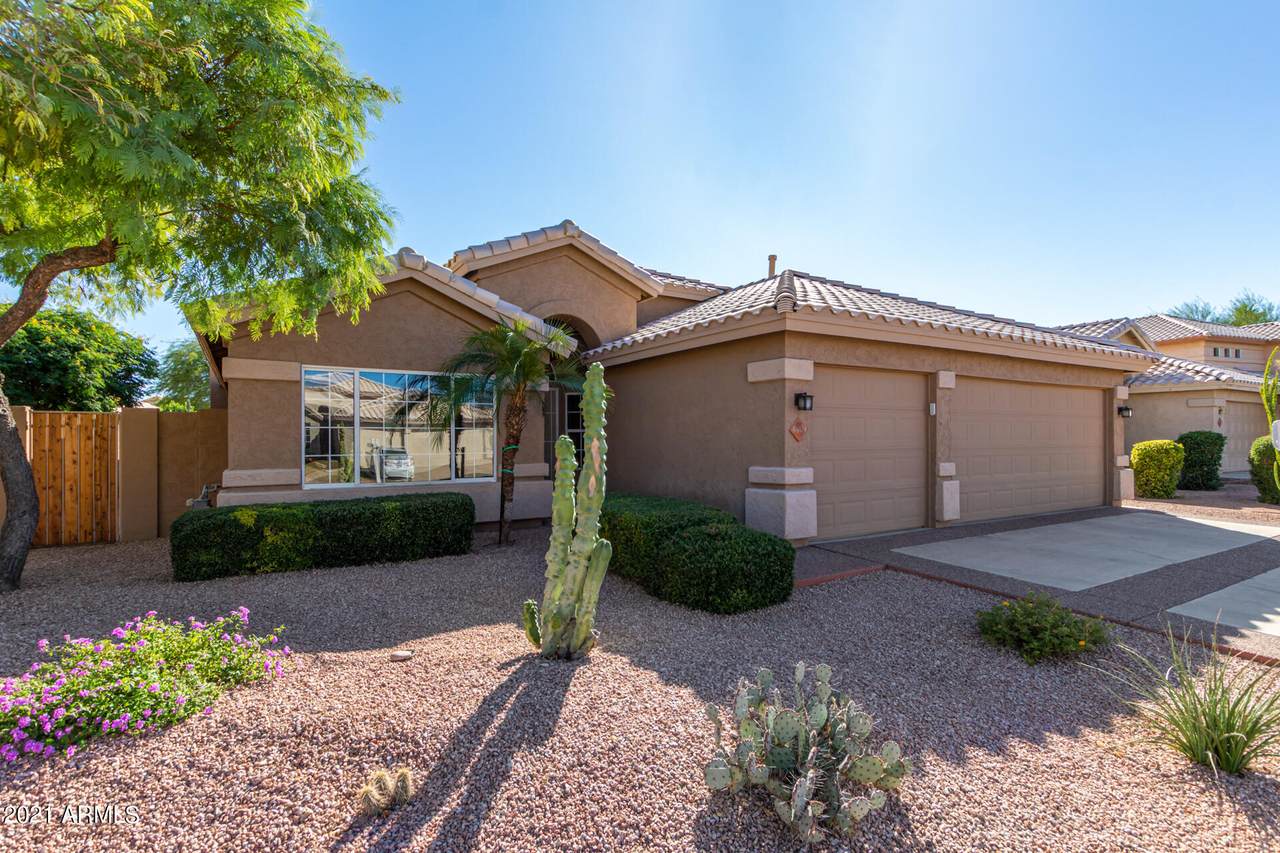 4409 Mountain Sage Drive - Photo 1