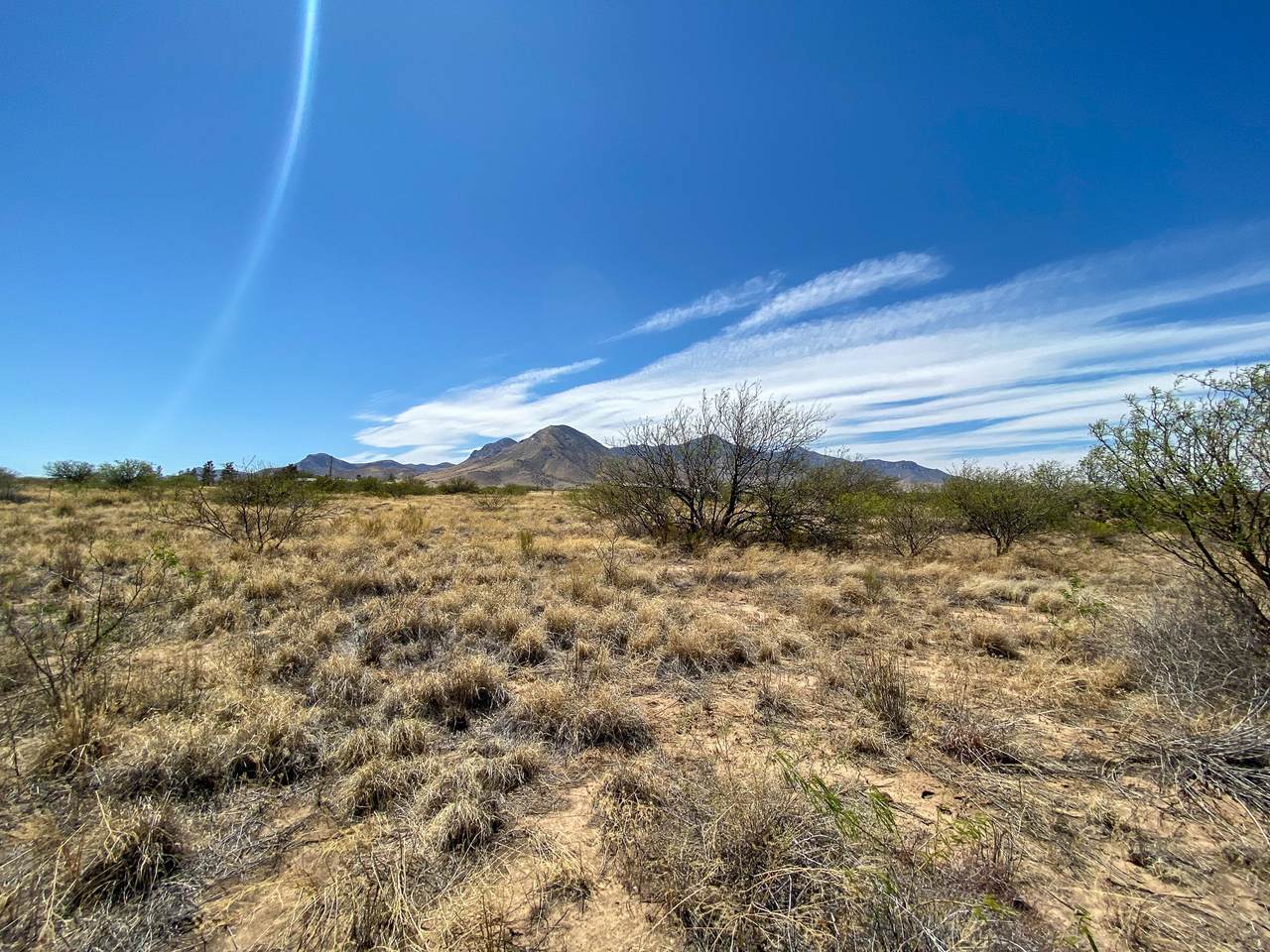 000 Paint Ranch Road - Photo 1