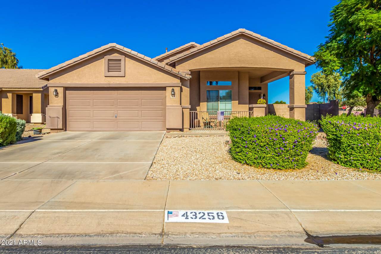 43256 Anne Lane - Photo 1