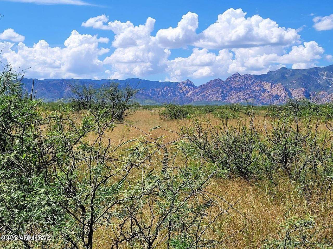 3.41 Acre On Richey Road - Photo 1