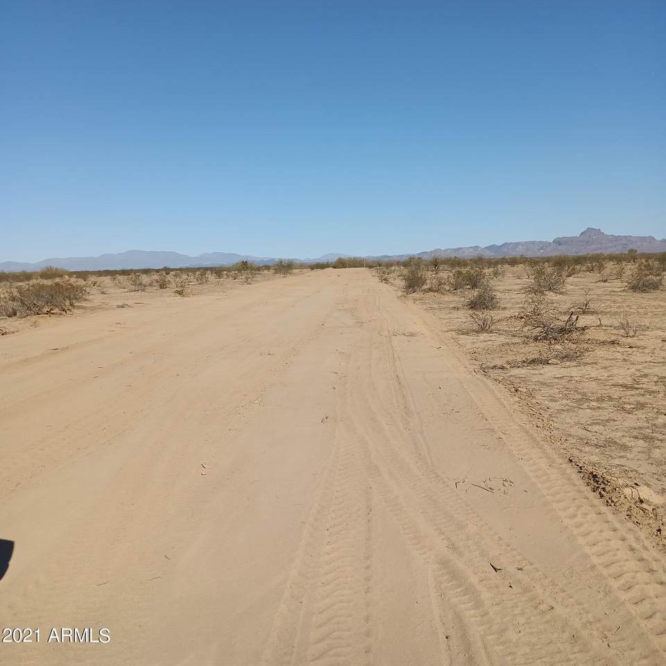 53800 Centenial Road - Photo 1
