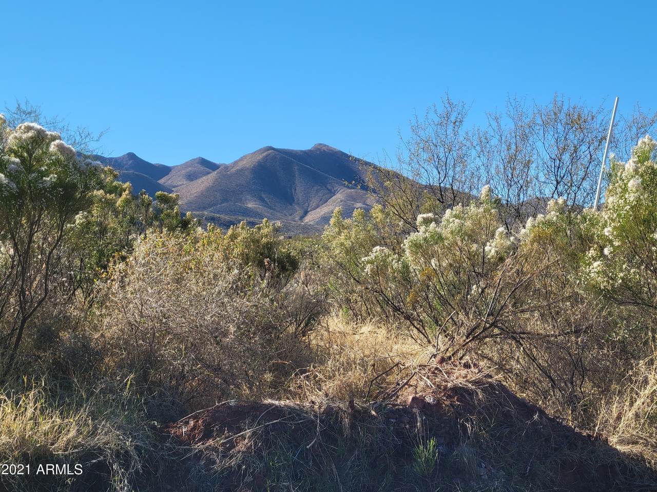 TBD Chisolm Trail - Photo 1