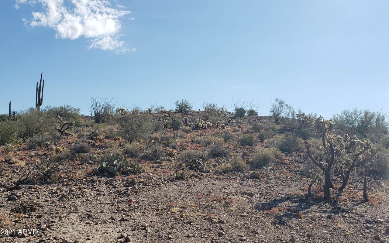 101 Elephant Butte Road - Photo 1