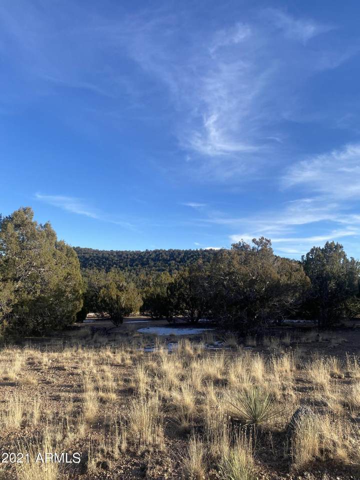 31080 Pipeline Circle - Photo 1
