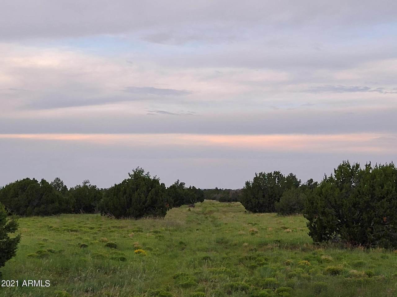 64 County Rd N8385 - Photo 1