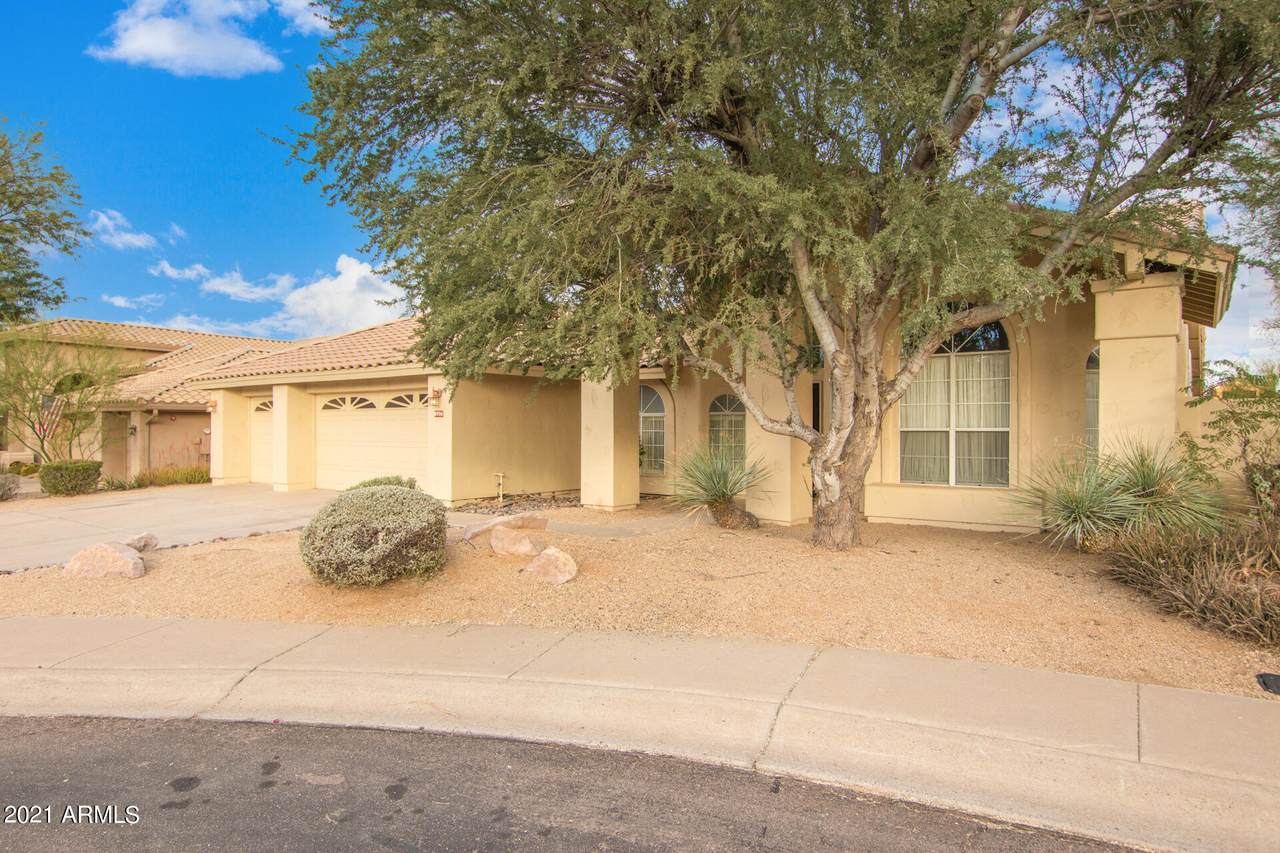 8936 Palm Tree Drive - Photo 1