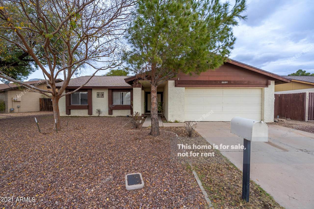6604 Christy Drive - Photo 1