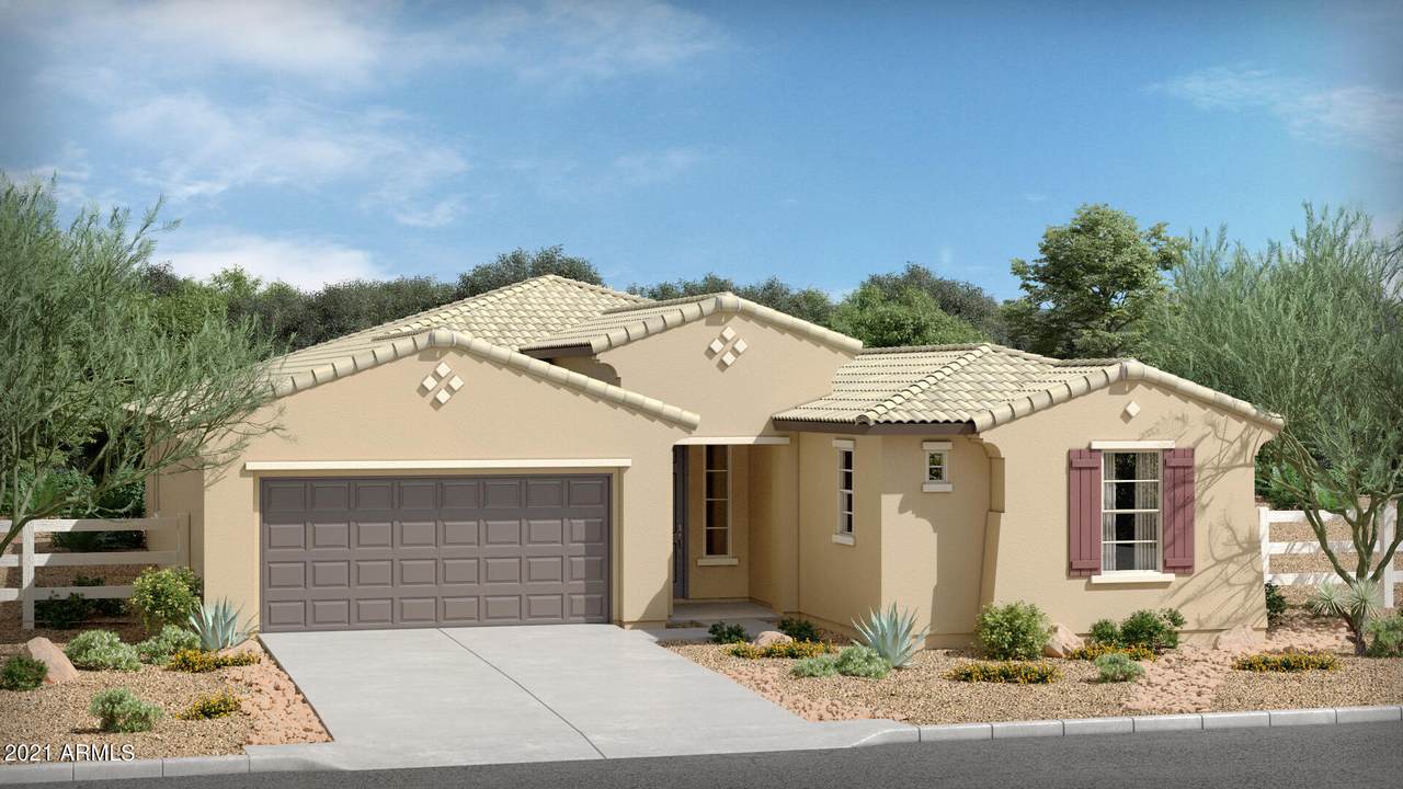 10548 Appaloosa Trail - Photo 1