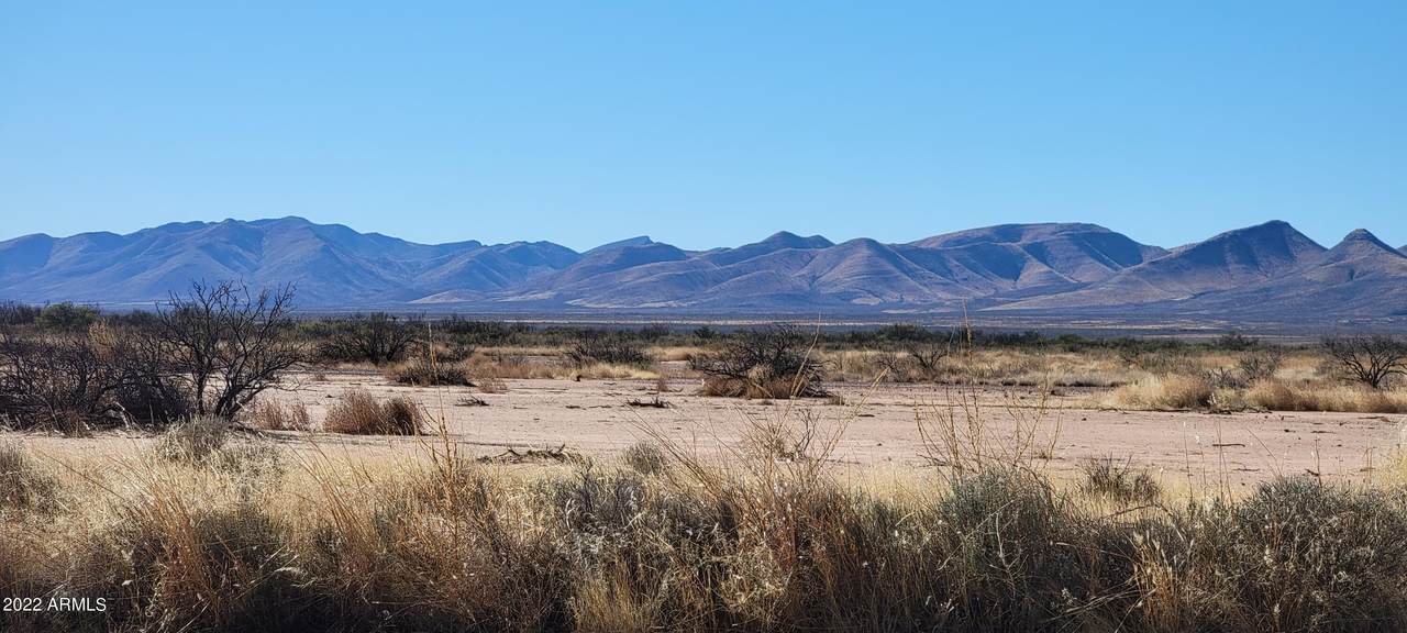Lot 133 Stampede Path - Photo 1