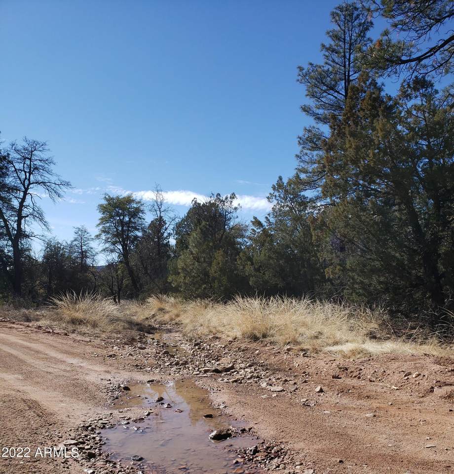 4R-1 Ike Clark Parkway - Photo 1