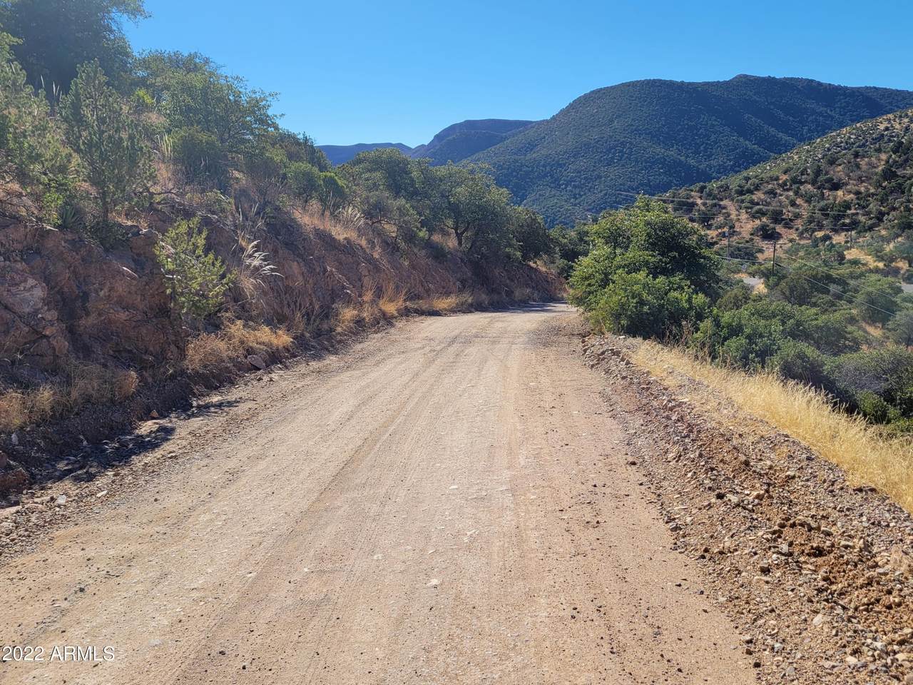 4.11 Acres Juniper Flats - Photo 1